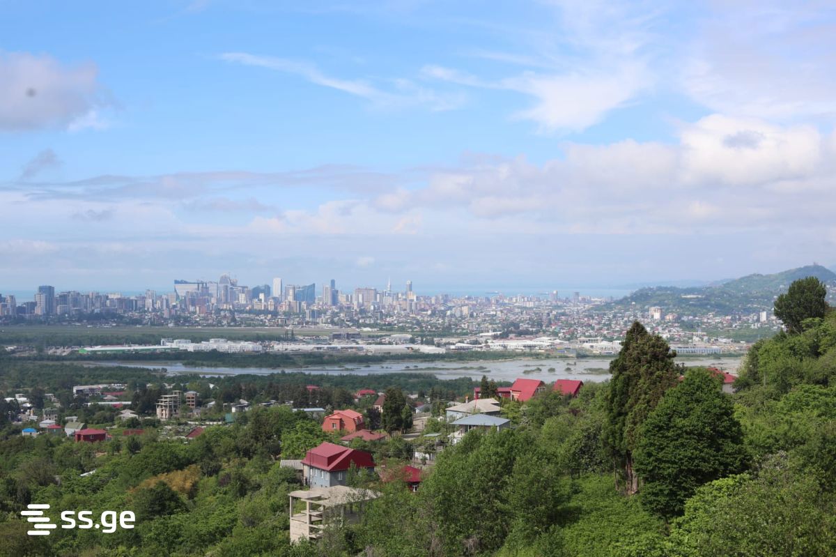 1 Room Flat For Rent. Akhalsopeli view 8