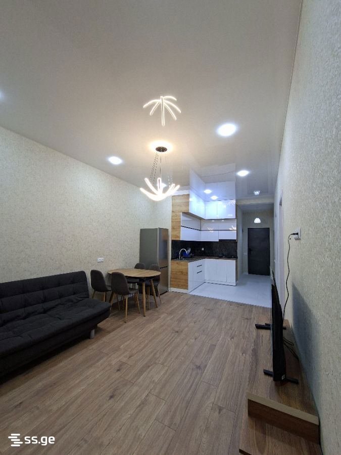 2 room Flat For Rent. Didi digomi - Widok 5