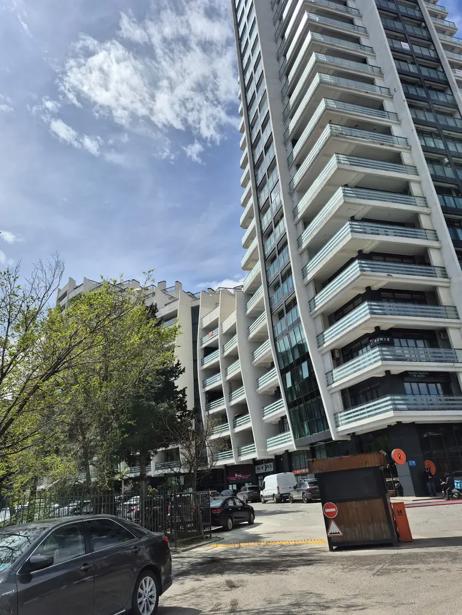 https://static.ss.ge/20260704/19_fbee6196-16a0-479e-a446-2d5340c2bf3b_Thumb.jpg