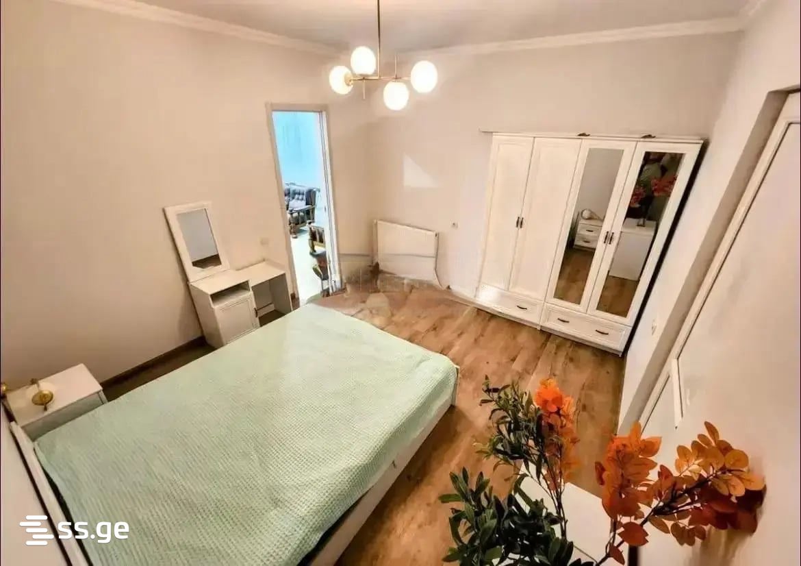 3 Room Private House Daily Rent. Batumi view 10
