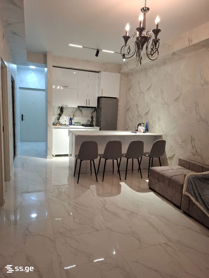 3 Room Flat Daily Rent. Rustavi view 1