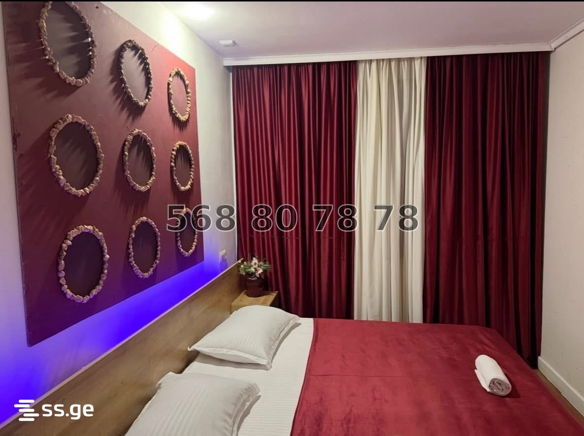 3 Room Private House Daily Rent. Rustavi view 11
