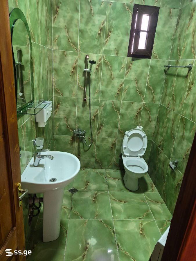 2 Room Private House For Rent. Rustavi view 7