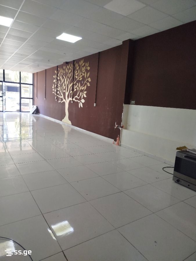 Commercial Space For Rent. Kutaisi view 5