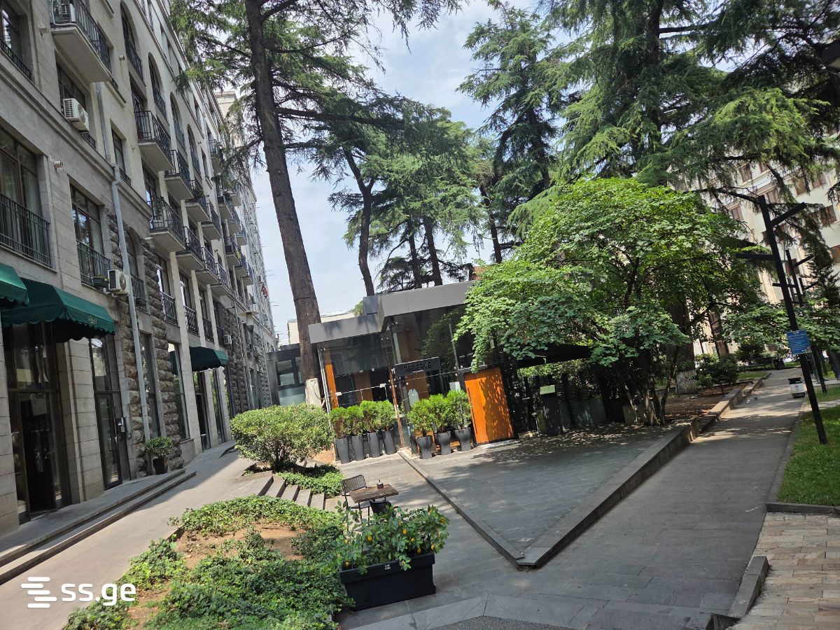2 Room Flat Daily Rent. Mtatsminda view 11