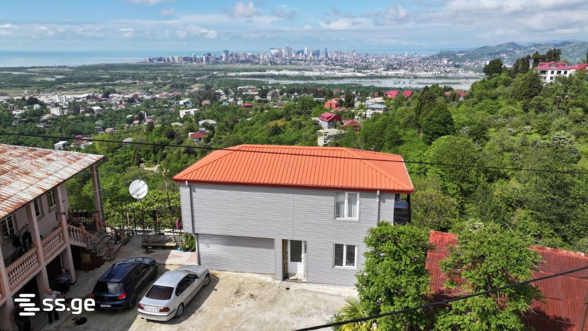 1 Room Flat For Rent. Akhalsopeli view 7