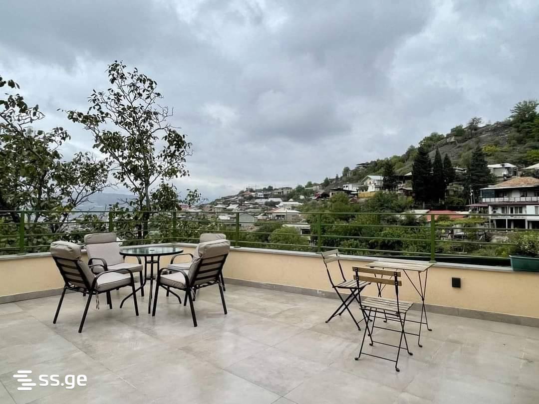 1 Room Private House Daily Rent. Nadzaladevi view 6