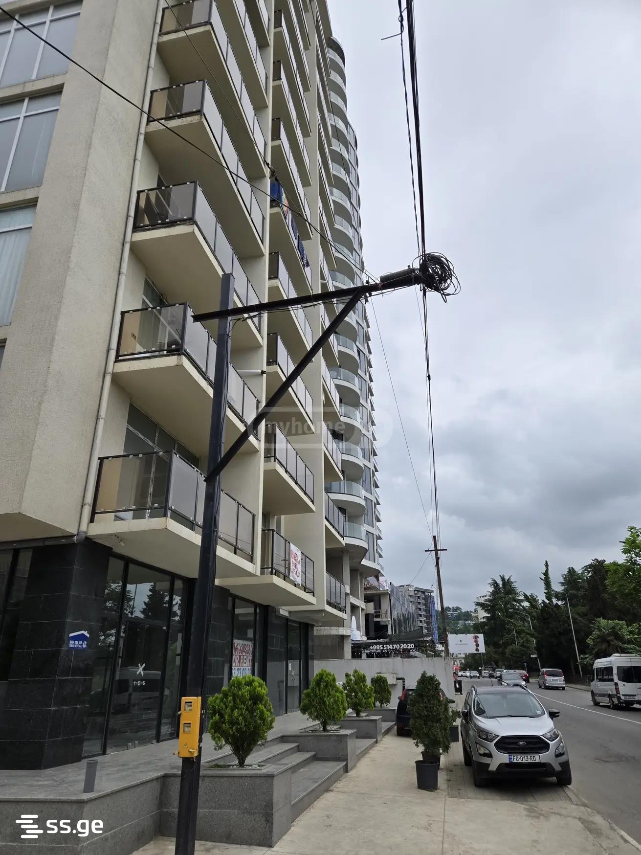 3 Room Flat For Rent. Makhindjauri view 3