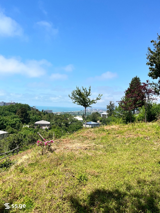6 Room Private House For Sale view 5