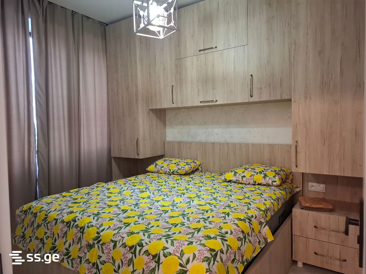 3 Room Flat Daily Rent. Rustavi view 7