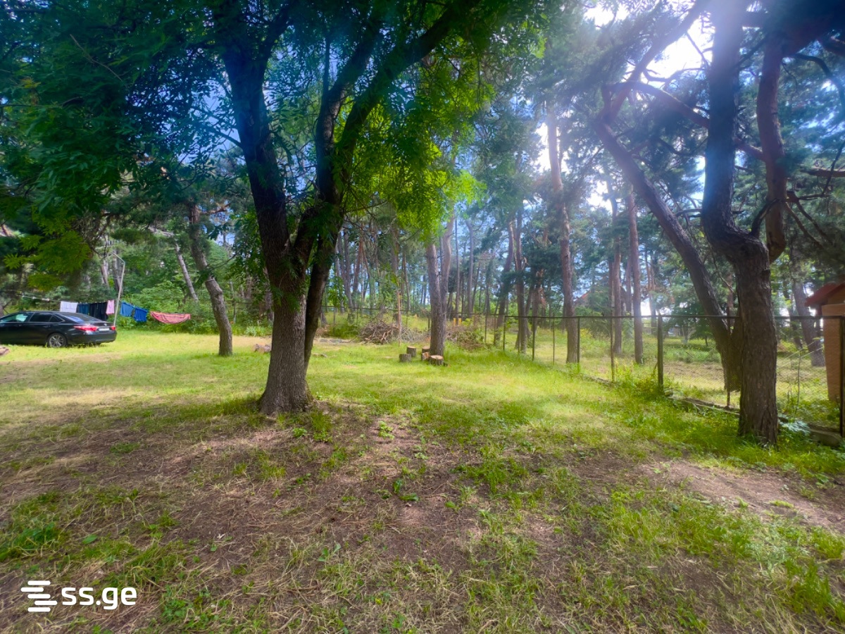 2 Room Summer Cottage For Rent. Kojori view 5