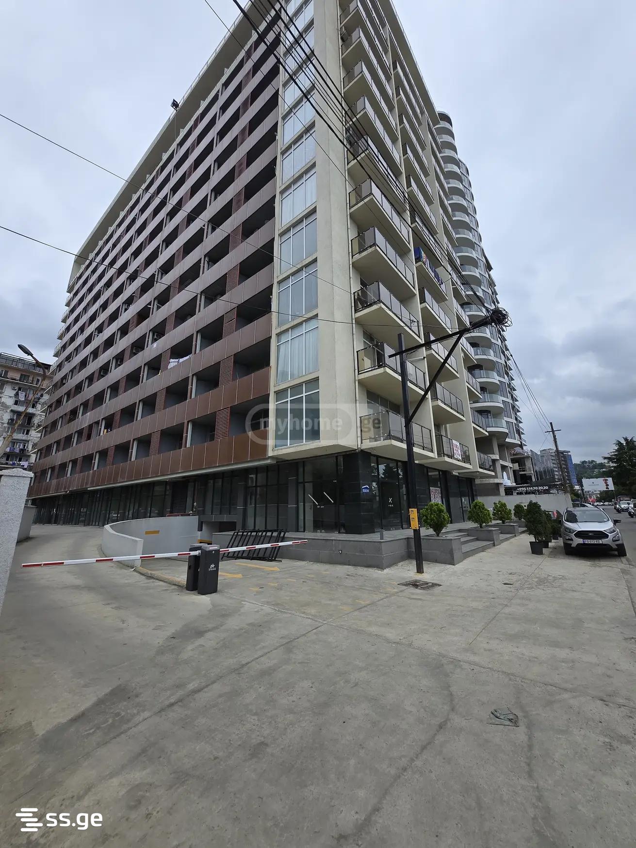 3 Room Flat For Rent. Makhindjauri view 4