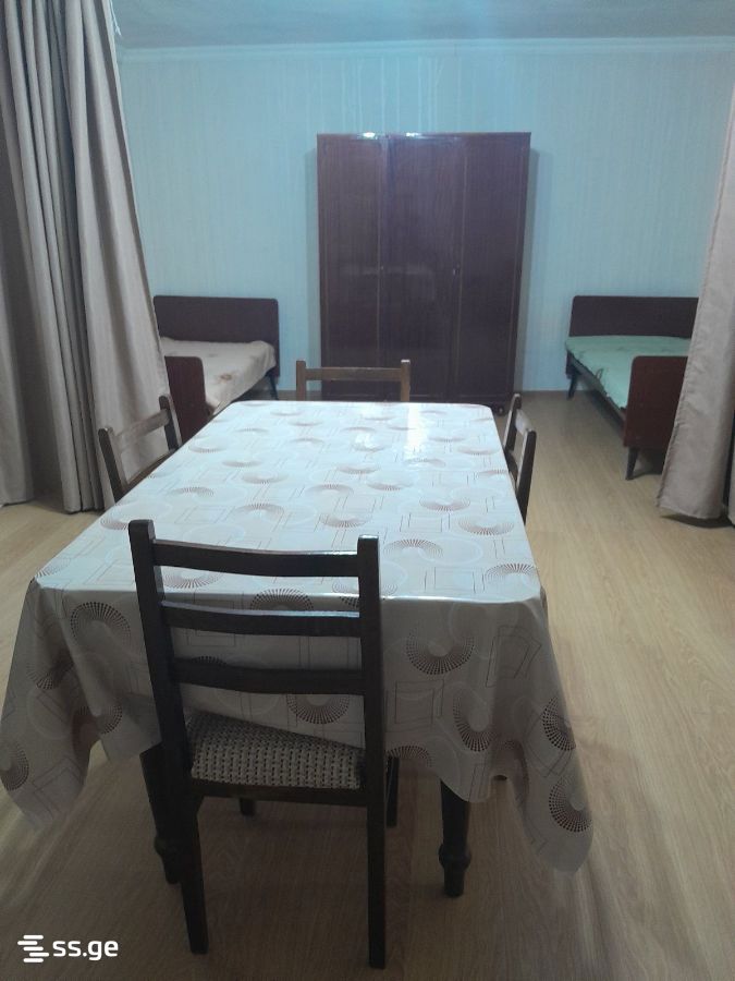 1 Room Private House For Rent. Nadzaladevi view 3