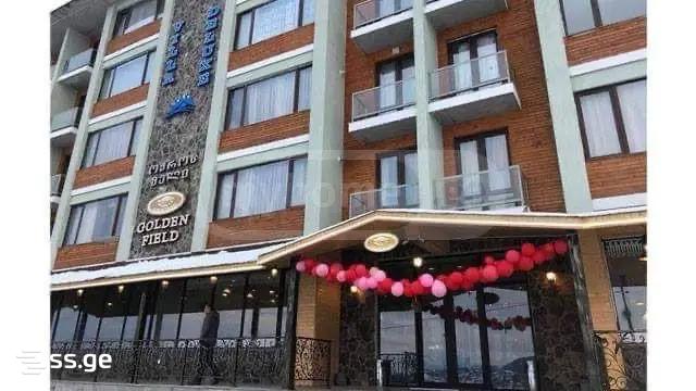 Commercial Space For Sale. Bakuriani view 8