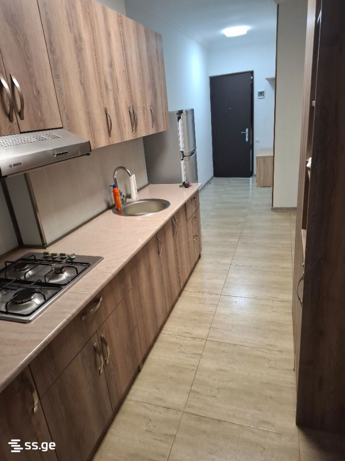 2 Room Flat Daily Rent. Bakuriani view 5
