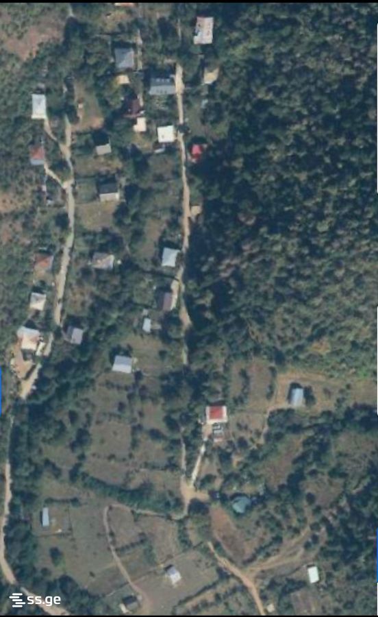 Land For Sale. Borjomi view 1