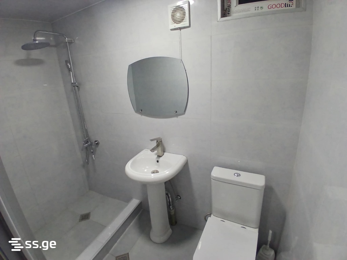 4 Room Private House Daily Rent. Telavi view 6