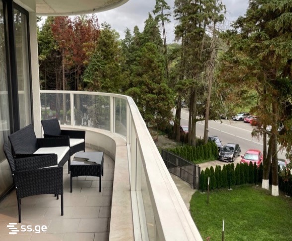 2 Room Flat Daily Rent. Tsikhisdziri view 4