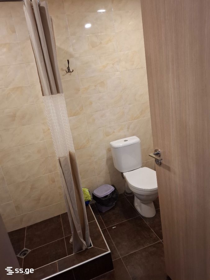 2 Room Flat Daily Rent. Bakuriani view 3