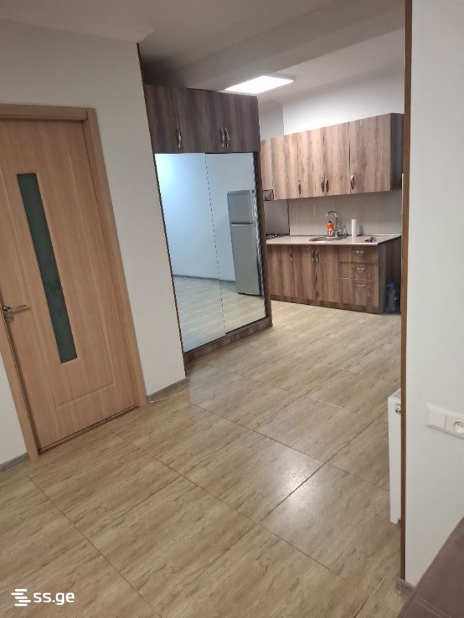 2 Room Flat Daily Rent. Bakuriani view 7