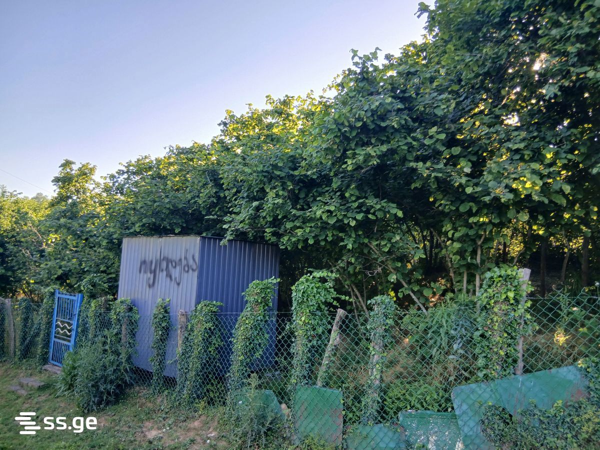 Land For Sale. Zugdidi view 1
