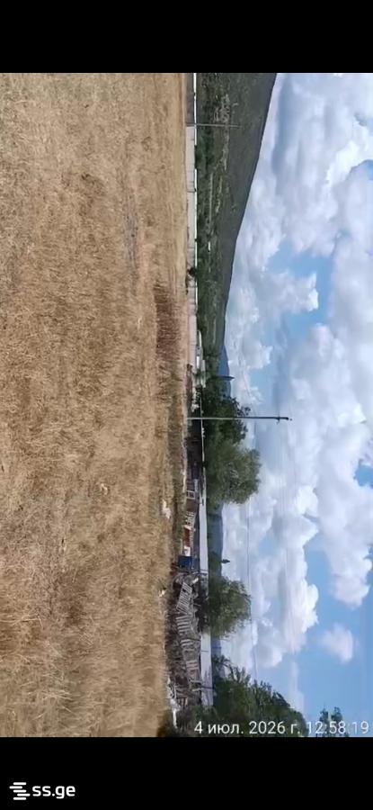 Land For Sale. Natakhtari view 3