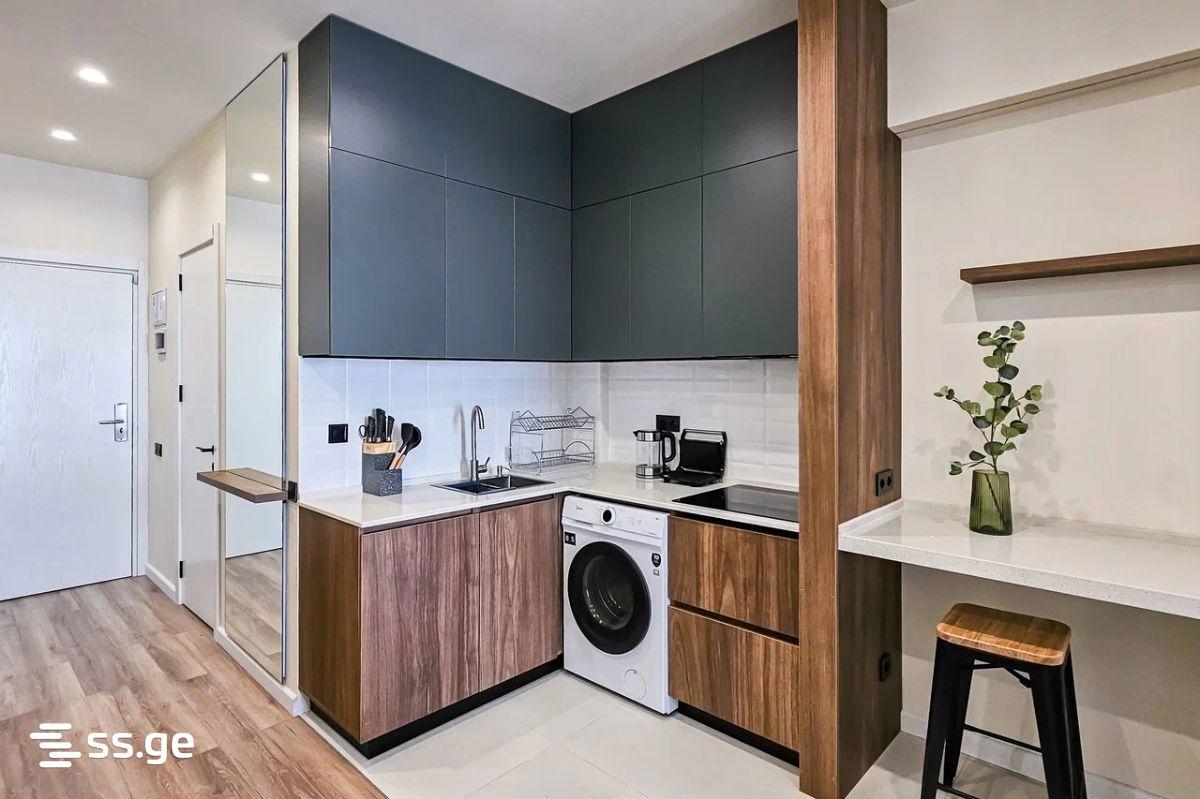 1 Room Flat Daily Rent. Tsikhisdziri view 13