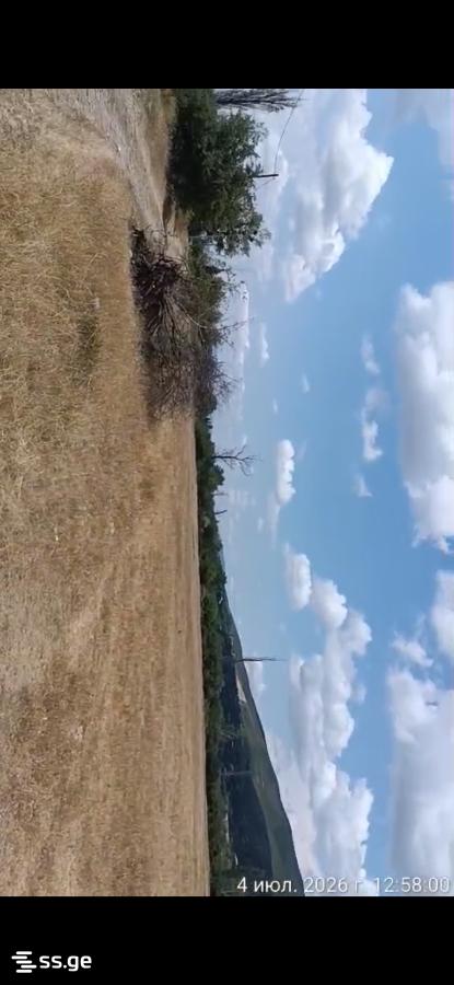 Land For Sale. Natakhtari view 4