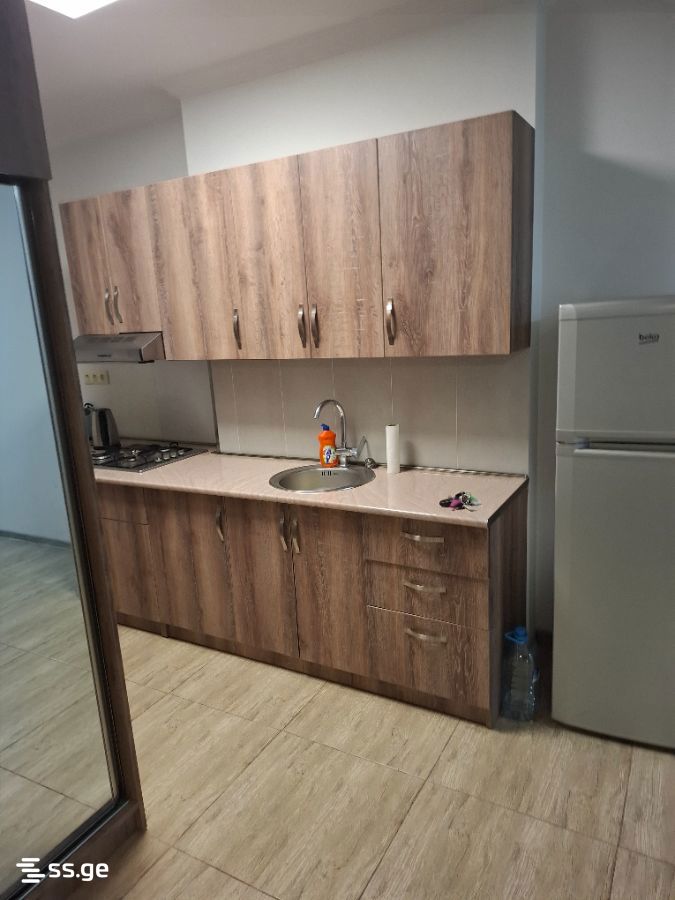 2 Room Flat Daily Rent. Bakuriani view 11
