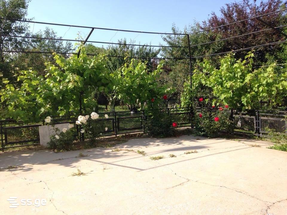 6 Room Private House For Sale view 12