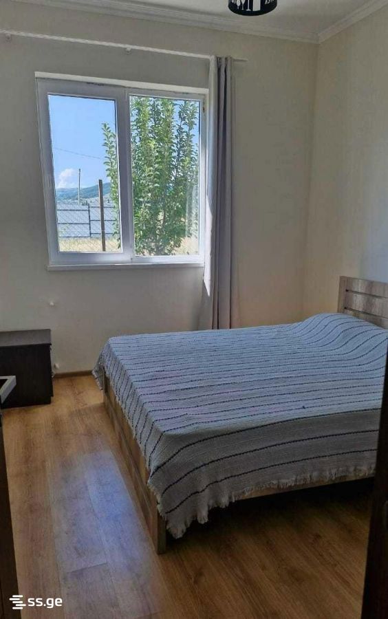 5 Room Private House Daily Rent. Bazaleti view 10