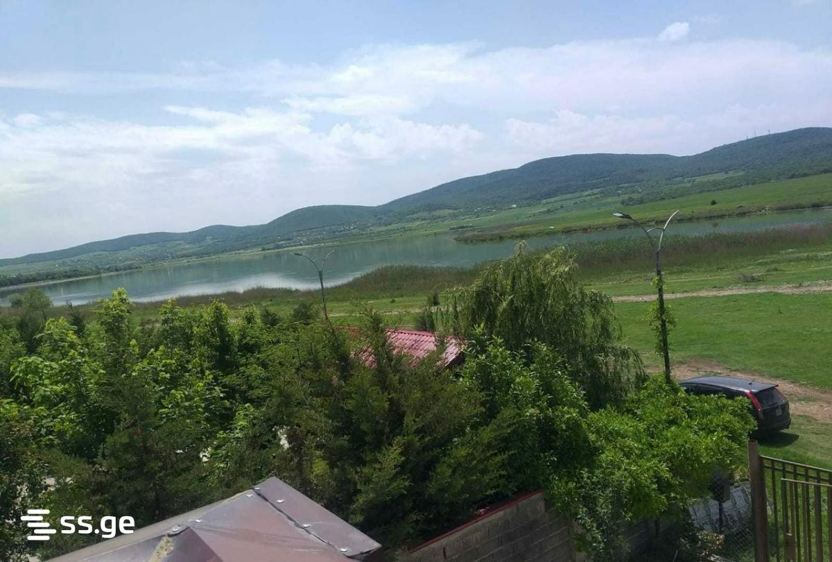 5 Room Summer Cottage Daily Rent. Bazaleti view 2