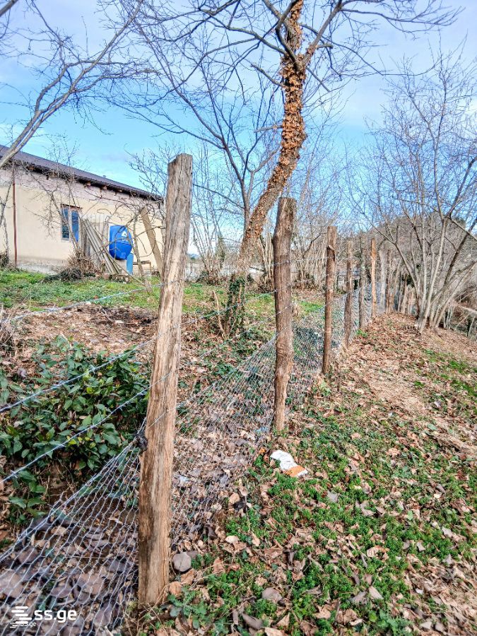 Land For Sale. Zugdidi view 13
