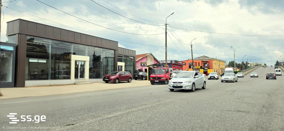 Commercial Space For Rent. Kutaisi view 1