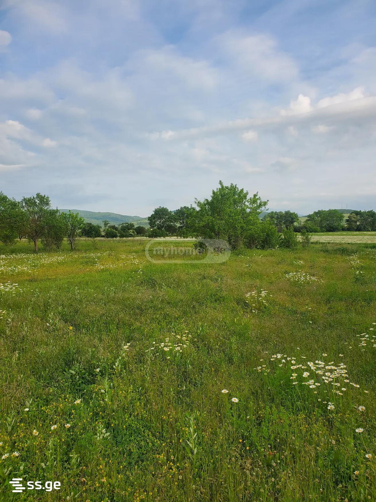 Продажа Земля в Душети view 2