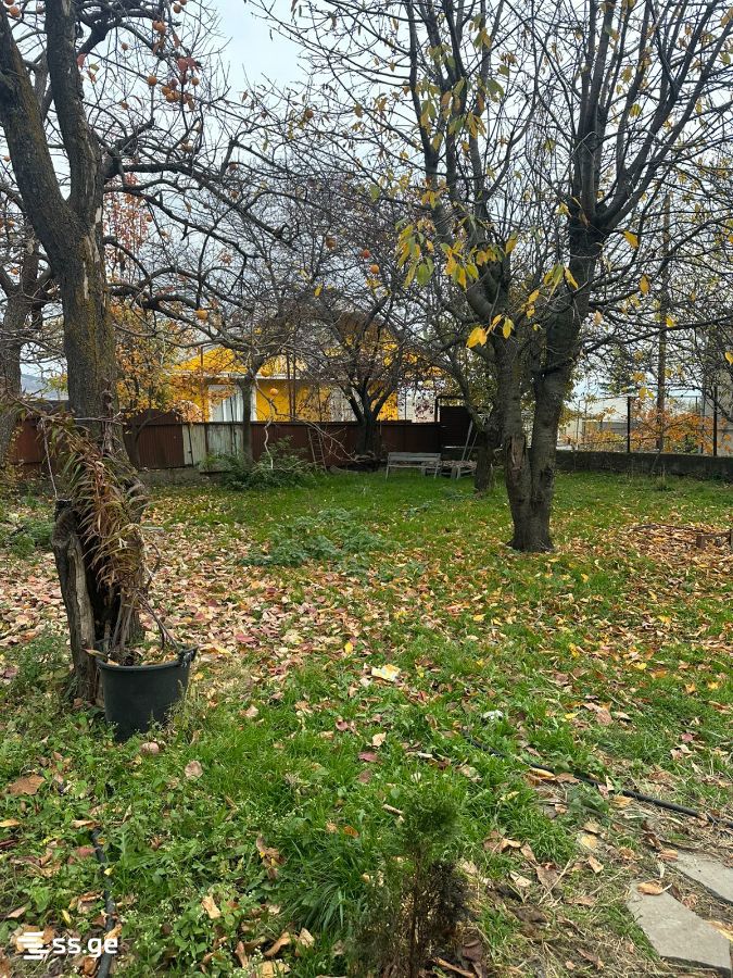Land For Sale. Mtatsminda view 5