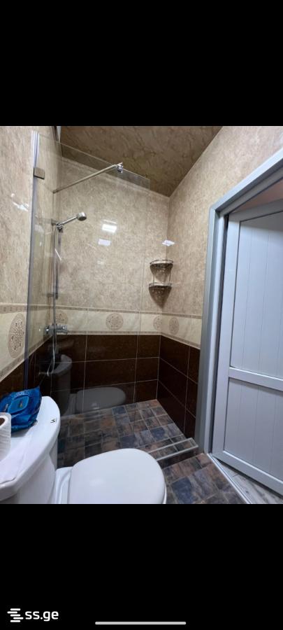 3 Room Flat For Rent. Makhindjauri view 9
