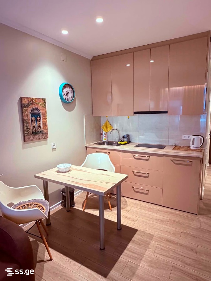 1 Room Flat Daily Rent. Batumi view 11