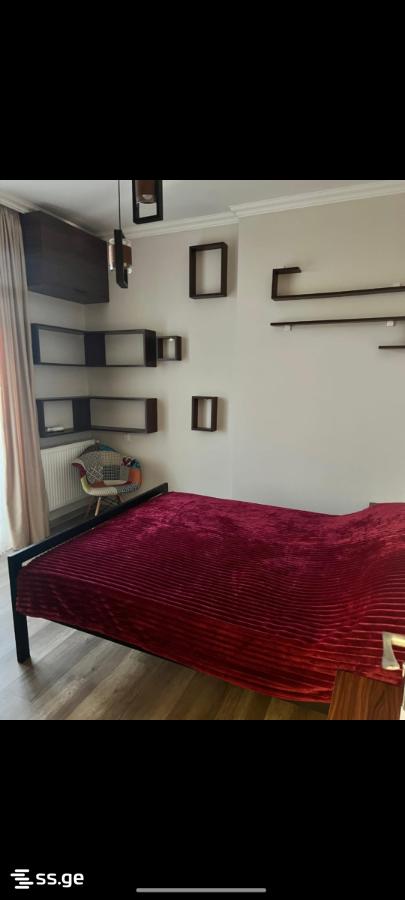 3 Room Flat For Rent. Makhindjauri view 5