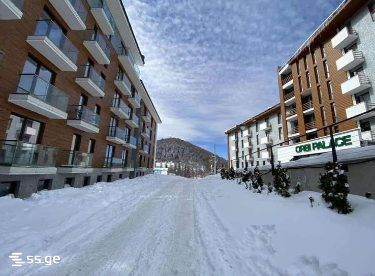 Аренда 1-комната Квартира в Bakurianshi view 13