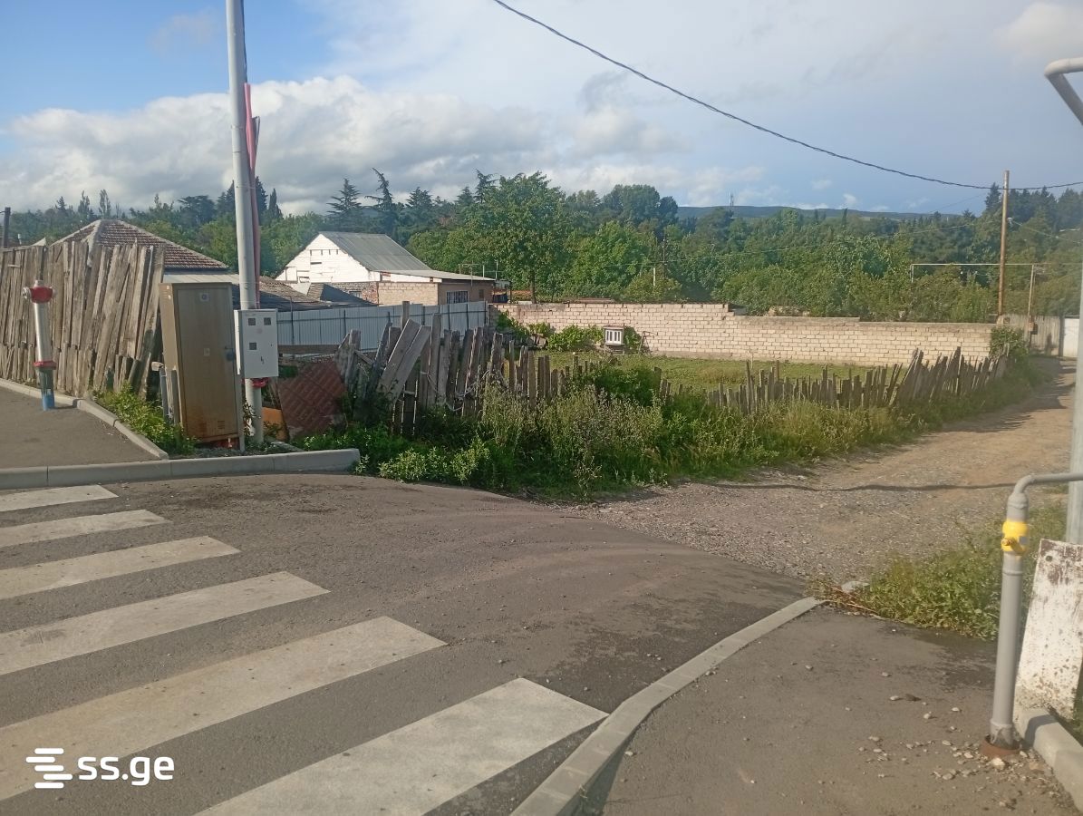 Land For Rent. Varketili, 4 of 4