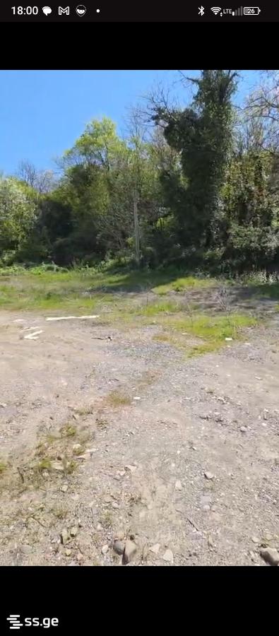 Land For Sale. Gurjaani view 5