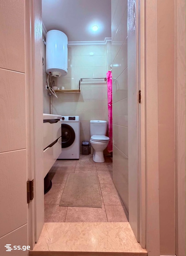 1 Room Flat Daily Rent. Batumi view 6