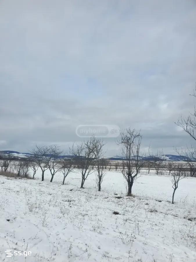 Land For Sale. Dusheti view 6