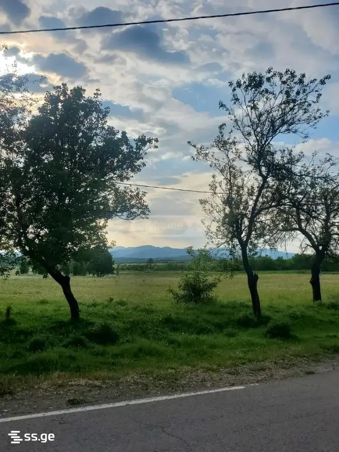 Land For Sale. Dusheti view 4