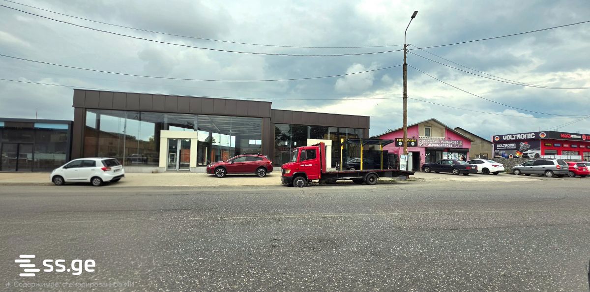 Commercial Space For Rent. Kutaisi view 2