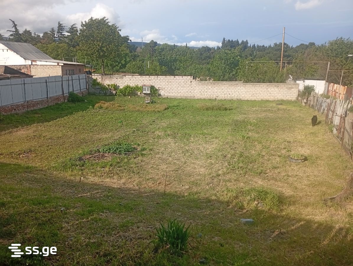 Land For Rent. Varketili, 4 of 4