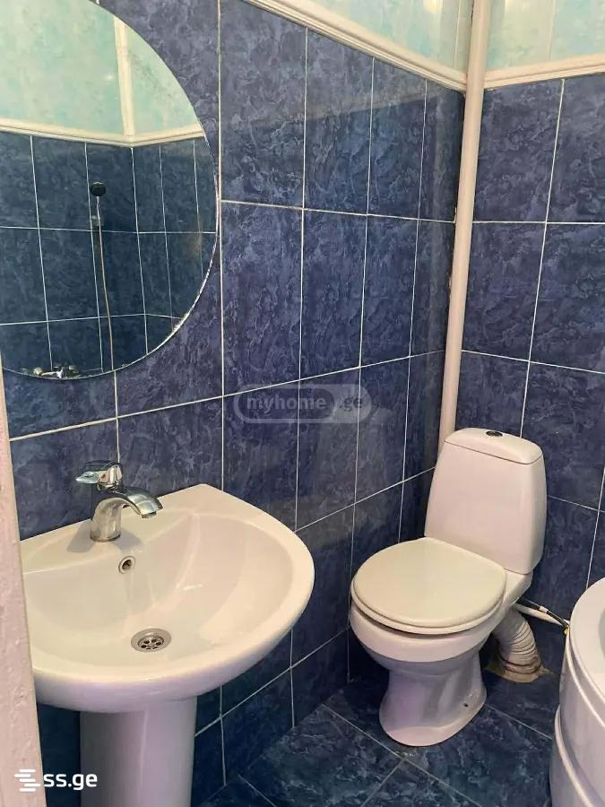 1 Room Flat For Rent. Rustavi view 6