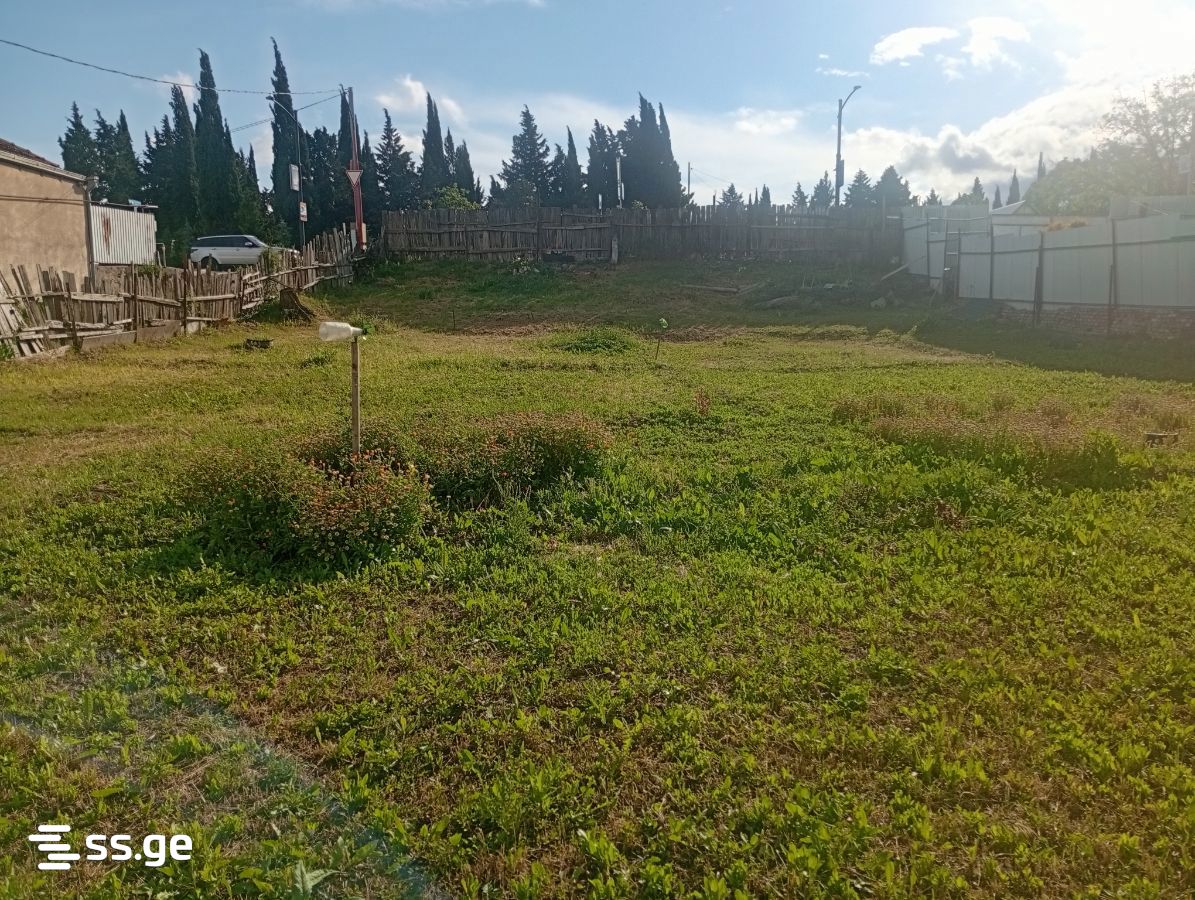 Land For Rent. Varketili, 6 of 8