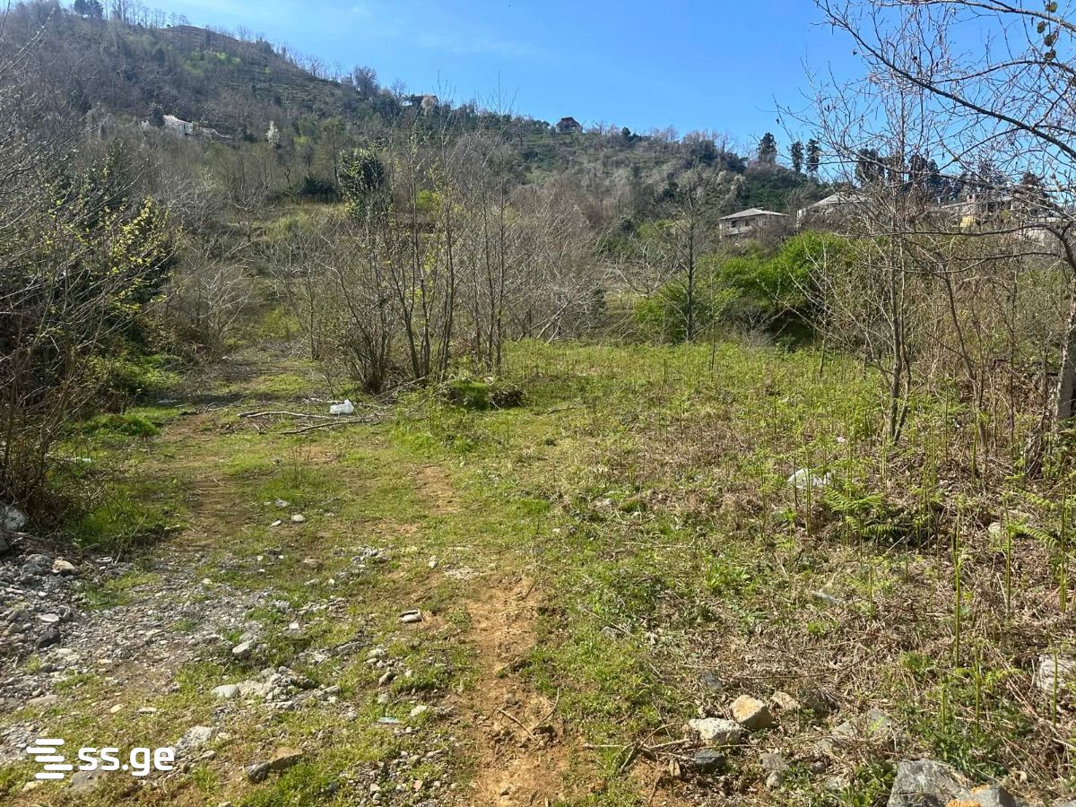 Land For Sale. Gonio view 4
